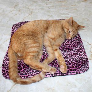 HAND CRAFTED Pink Leopard Fur Padded Cat Dog Mat